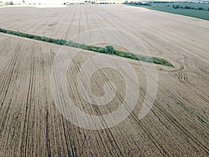 An old irrigation canal overgrown with trees among a wheat field, aerial view. Dry irrigation canal in the field, landscape