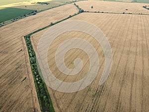 An old irrigation canal overgrown with trees among a wheat field, aerial view. Dry irrigation canal in the field, landscape