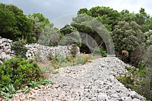 Old island gravel path