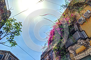 Old Italian House with Balcony Decorated with Fresh Flowers
