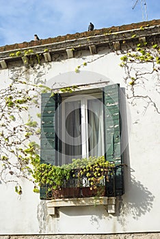 Old Italian window