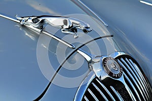 An old jaguar car symbol