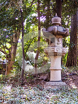 Old Japanese stone lantern in amongst trees.