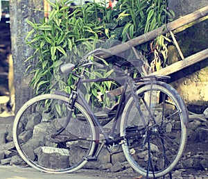 Old Java bicycle