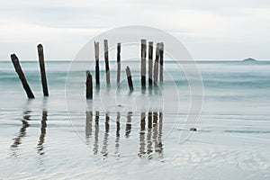 Old jetty piles at St. Clair Beach photo