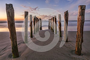 Old Jetty St Clair Beach Dunedin photo