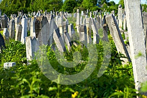 The Old Jewish cemetery at colorful sunset sky, Chernivtsi Ukraine.