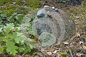 Old Jewish cemetery in the forest. The cemetery is located in Poland. Unreadable Yiddish text inscriptions on the stones.