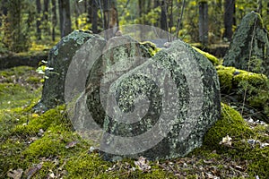 Old Jewish cemetery in the forest. The cemetery is located in Poland. Unreadable Yiddish text inscriptions on the stones.