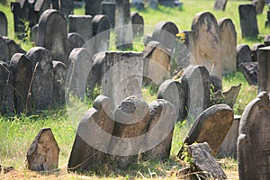 Old Jewish cemetery in Holesov