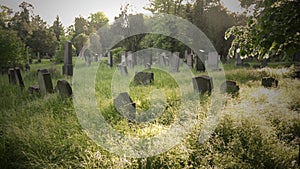 Old cemetery stock images photo