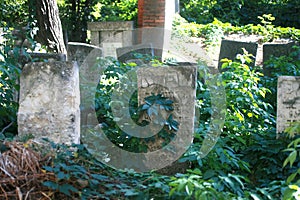 Old Jewish cemetery. Jewish graves and monuments