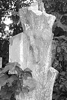 Old Jewish cemetery. Jewish graves and monuments