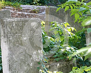 Old Jewish cemetery. Jewish graves and monuments