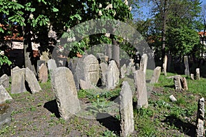 Old Jewish cemetery, Prague photo