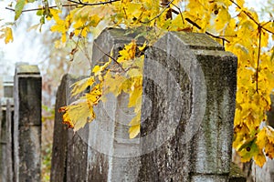 Jewish Headstone flowers stone symbol embem background cemetery old granit marble font letters