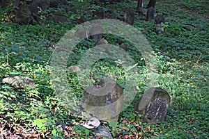 Old Jewish cemetery on a slope of a hill in Bedzin, southern Poland