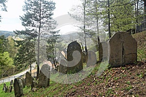 Old Jewish cemetery on a slope of a hill in Muszyna, southern Poland