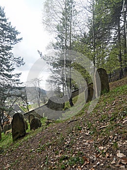 Old Jewish cemetery on a slope of a hill in Muszyna, southern Poland