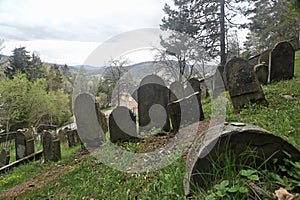 Old Jewish cemetery on a slope of a hill in Muszyna, southern Poland