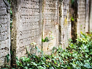 Old jewish cemetery in Trebic, Czech
