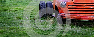 Old Junked Red Work Truck Abandoned in Green Field