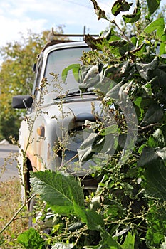 Old junky rusty abandoned car sitting in the bush