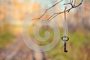 An old key hangs on a tree branch, against the background of a forest road. Blurred background, space for text