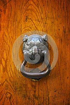 Lion door knocker on old wooden door