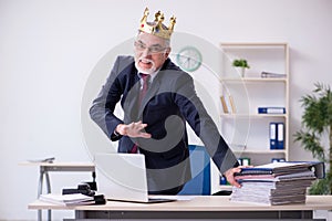 Old king businessman employee at workplace