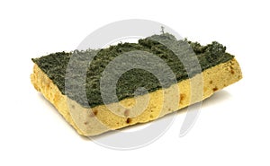Old kitchen sponge on white background.