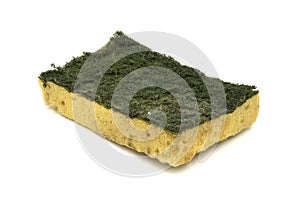 Old kitchen sponge on white background.
