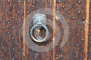 Old knock door lion head on wooden brown antique door with metal knocker decorative furniture