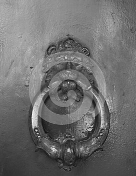 Old Knocker in Bologna