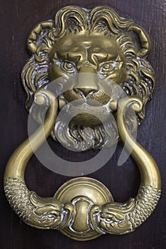 Old Knocker in Bologna