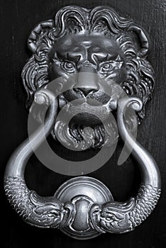 Old Knocker in Bologna