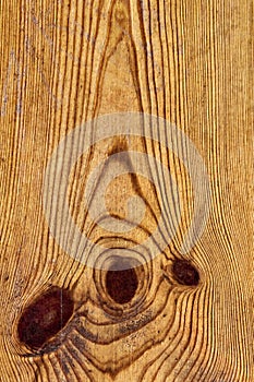 Old Knotted Pine Wood Board Grunge Texture Detail