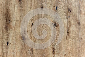 Old knotty wood texture photo