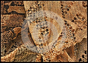 Old lace and snakeskinâ–ª embroidered handiwork a snake sheds his skin