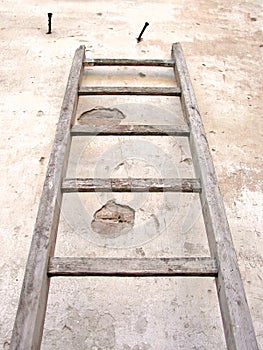 Old ladder