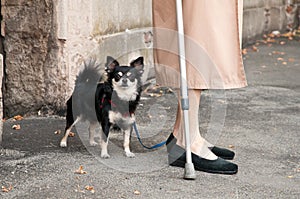 Old lady with dog