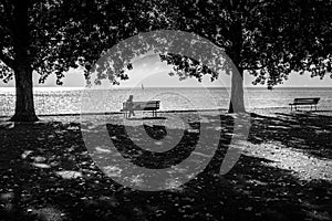Old lady sitting on a bench reading a book in a park on the Geneva Lake shore, Cully, Switzerland