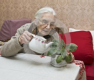 Old lady watering flower