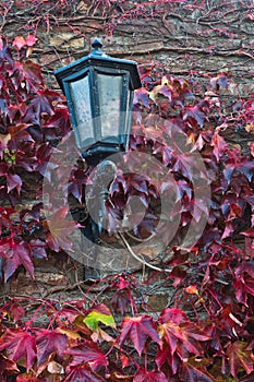 Old lantern on a fortress wall surrounded with red leaves in autumn at Kalemegdan, Belgrade