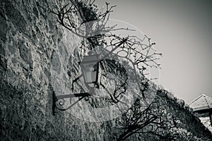 an old lantern on a stone wall