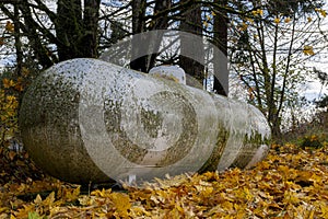 Old Large Propane Holding Tank in Autumn