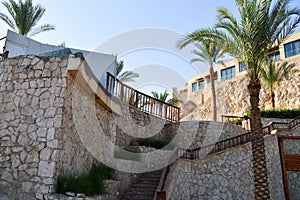 old large staircase and beautiful tropical palm trees with green branches against the background of windows and a steep sandy cli