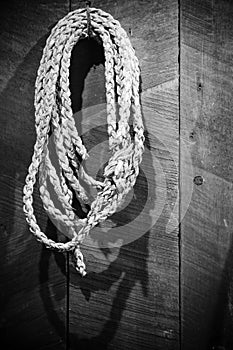 Old lasso hanging on the wall photo