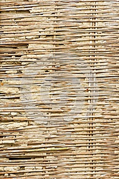 Old Lath And Plaster