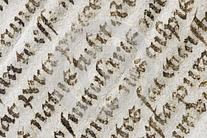 Old latin bible detail photo